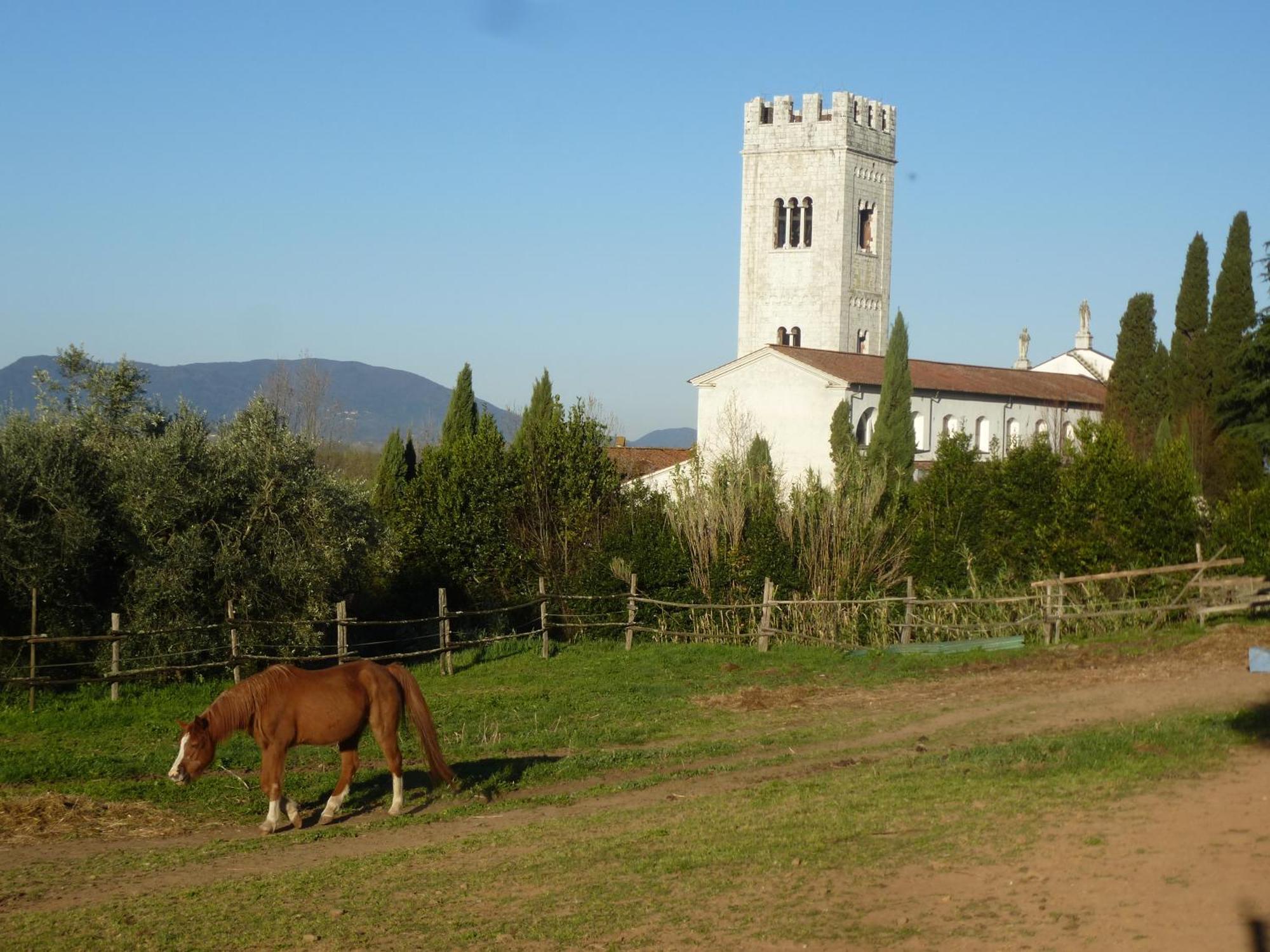 Bed and Breakfast Casa Marce A "Sonno" Porcari Exterior foto